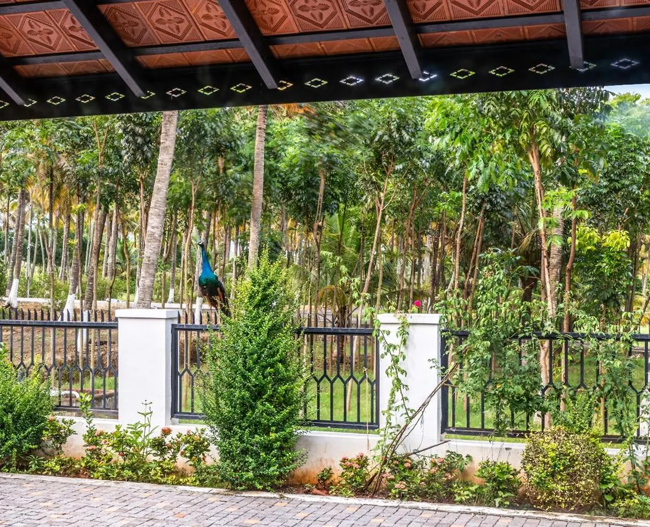 Agali Senaro Luxury Farm 빌라